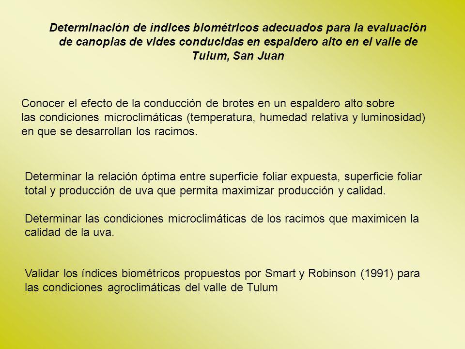 Determinación de índices biométricos adecuados para la evaluación de canopias de vides conducidas en espaldero alto en el valle de Tulum, San Juan