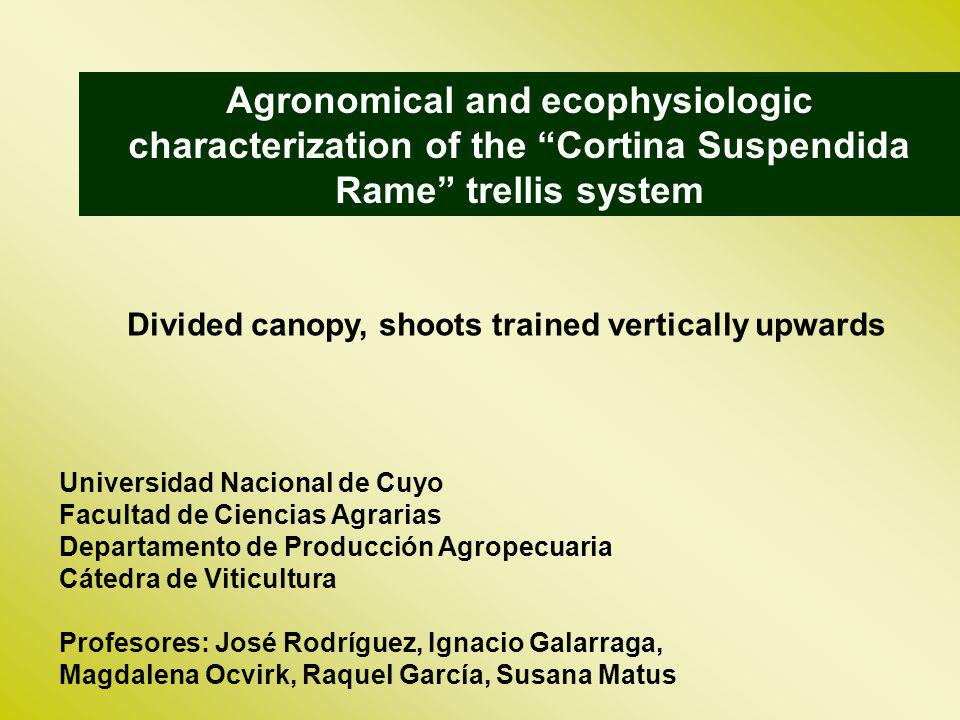 Agronomical and ecophysiologic characterization of the Cortina Suspendida Rame trellis system
