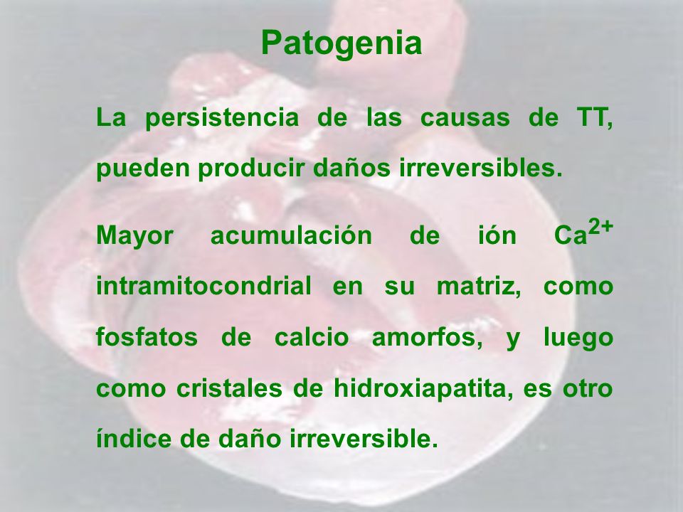 Patogenia La persistencia de las causas de TT, pueden producir daños irreversibles.