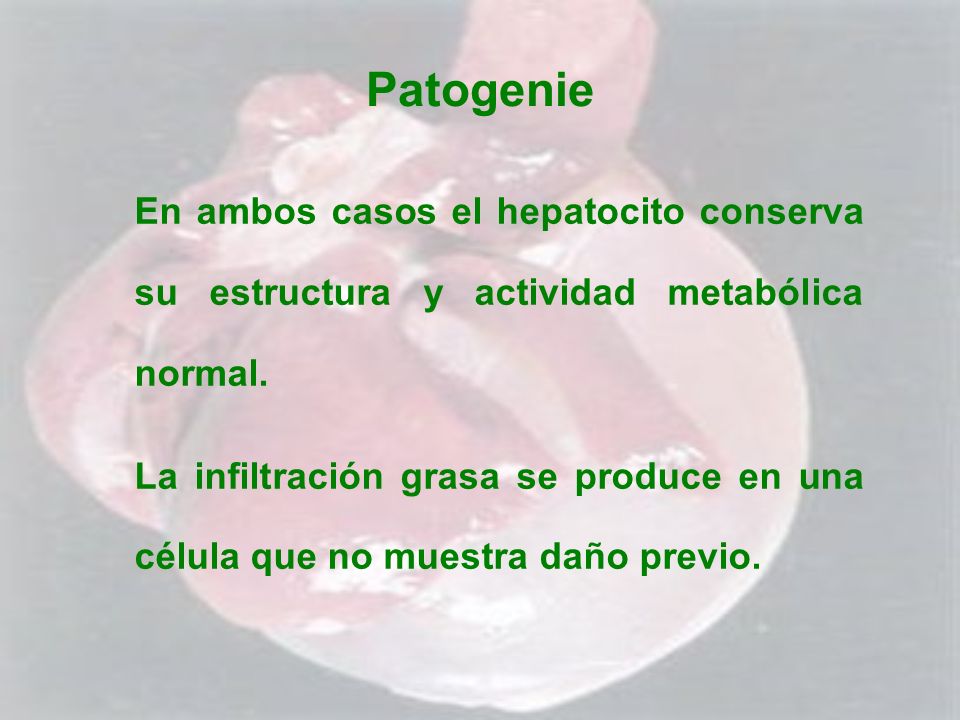 Patogenie En ambos casos el hepatocito conserva su estructura y actividad metabólica normal.
