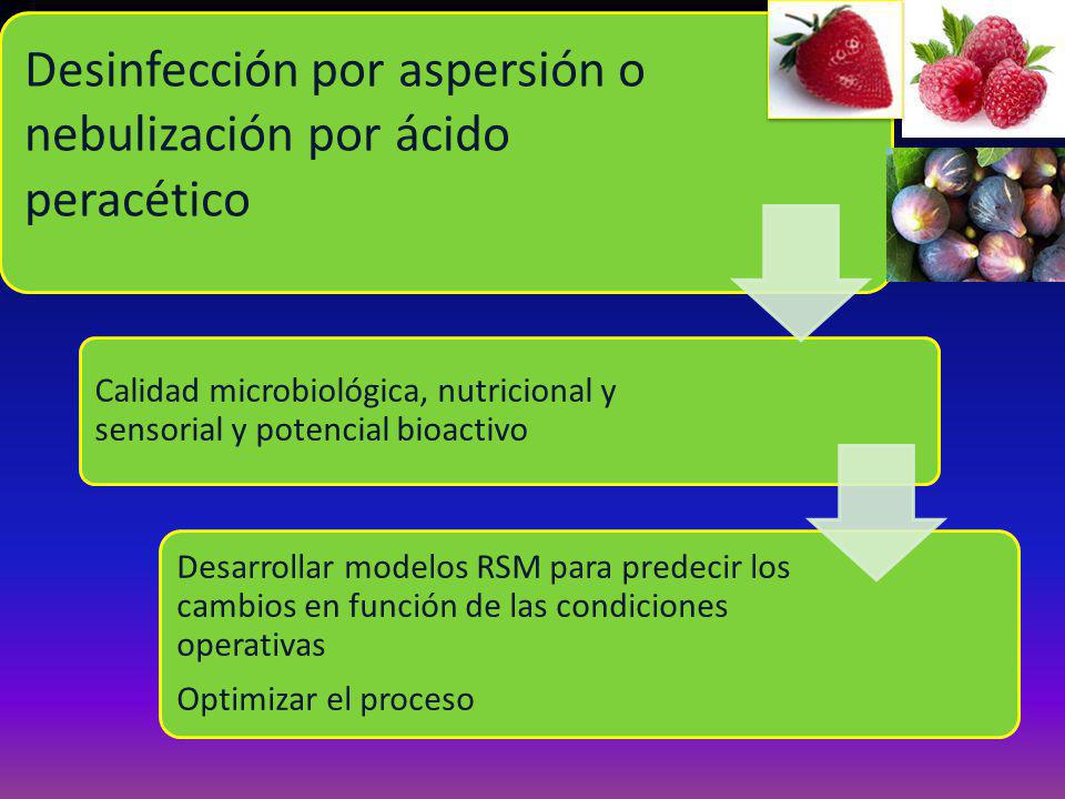 Desinfección por aspersión o nebulización por ácido peracético