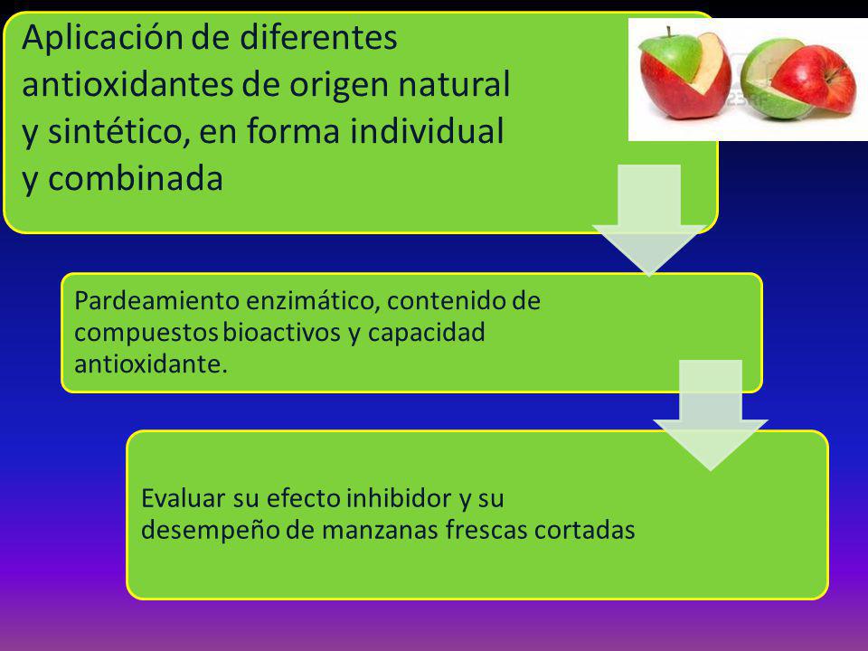 Aplicación de diferentes antioxidantes de origen natural y sintético, en forma individual y combinada