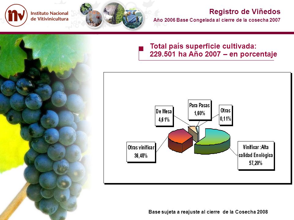 Total país superficie cultivada: ha Año 2007 – en porcentaje