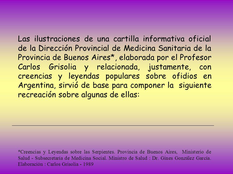 Las ilustraciones de una cartilla informativa oficial de la Dirección Provincial de Medicina Sanitaria de la Provincia de Buenos Aires*, elaborada por el Profesor Carlos Grisolia y relacionada, justamente, con creencias y leyendas populares sobre ofidios en Argentina, sirvió de base para componer la siguiente recreación sobre algunas de ellas: