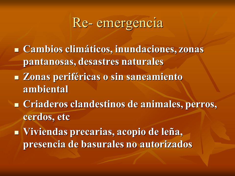 Re- emergencia Cambios climáticos, inundaciones, zonas pantanosas, desastres naturales. Zonas periféricas o sin saneamiento ambiental.