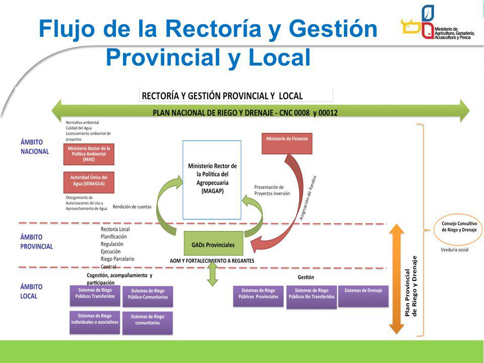Flujo de la Rectoría y Gestión Provincial y Local