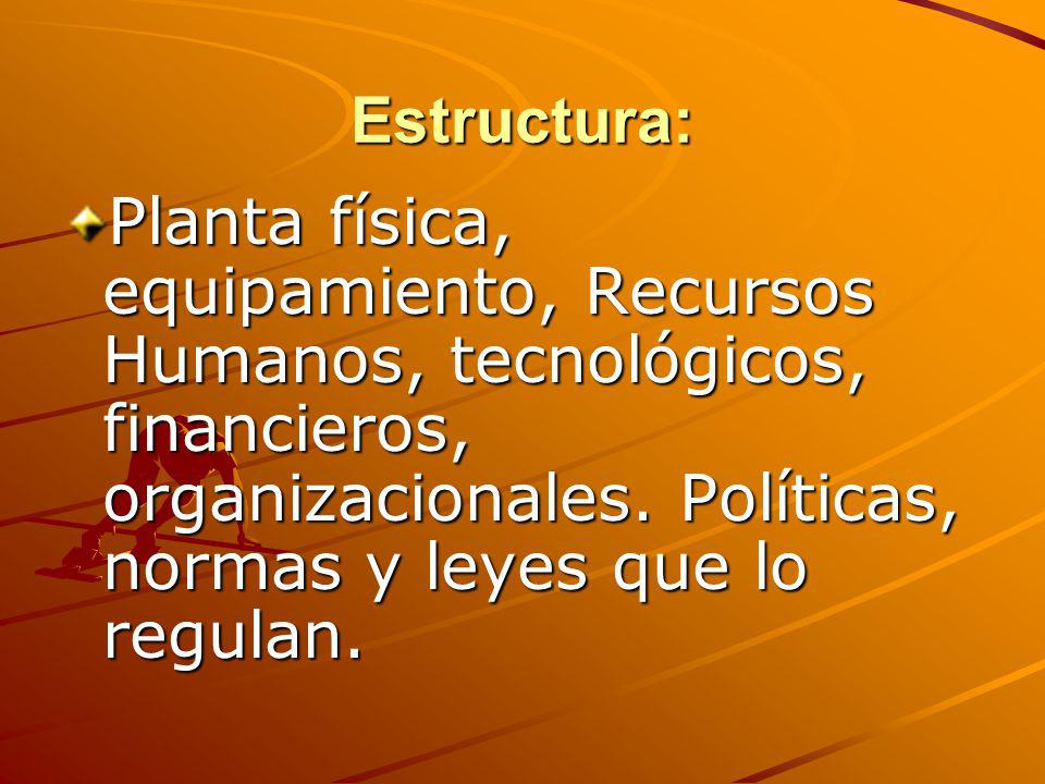 Estructura: Planta física, equipamiento, Recursos Humanos, tecnológicos, financieros, organizacionales.