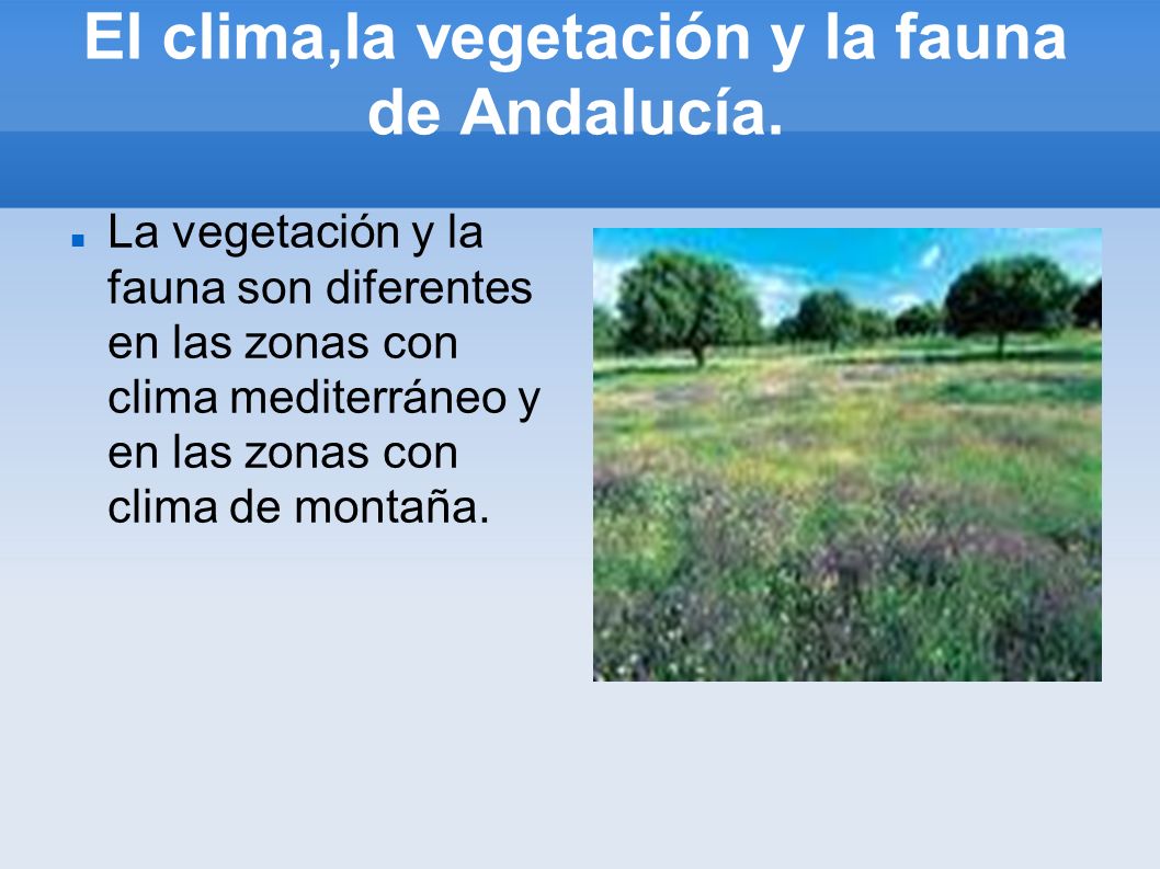 El clima,la vegetación y la fauna de Andalucía.