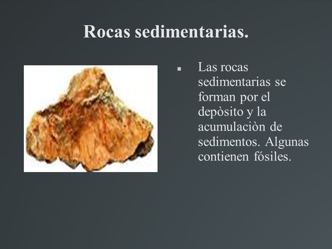 Rocas sedimentarias.