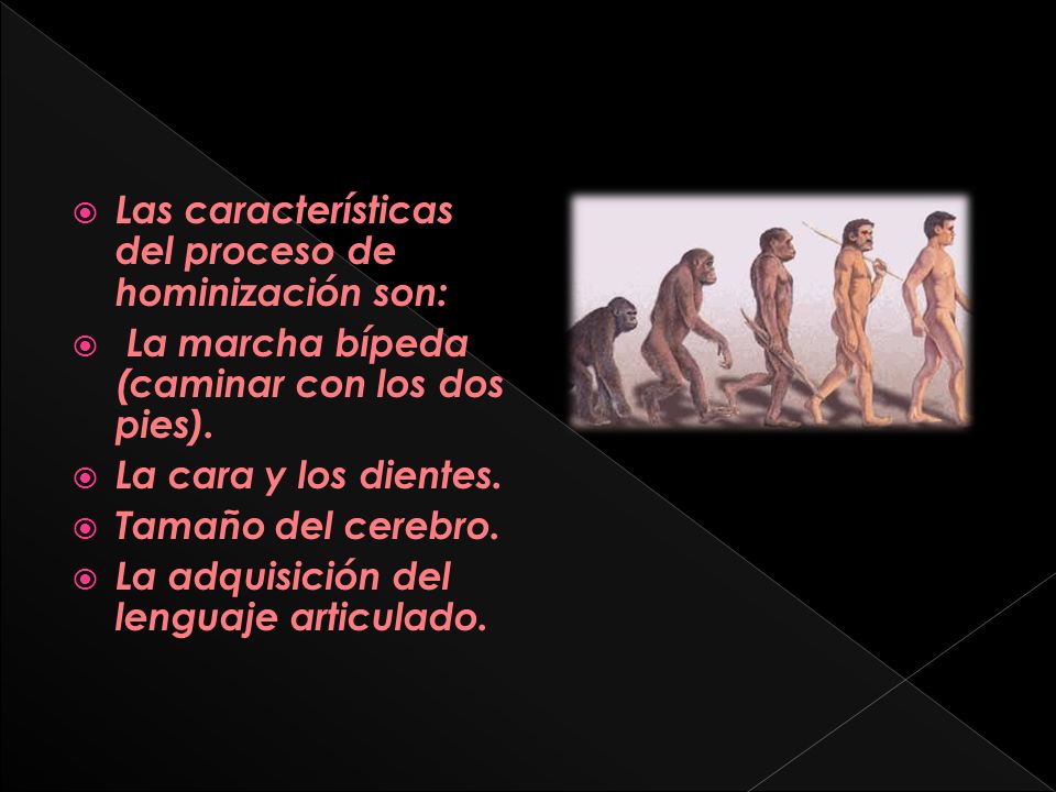 Las características del proceso de hominización son:
