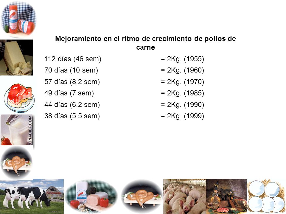 Mejoramiento en el ritmo de crecimiento de pollos de carne
