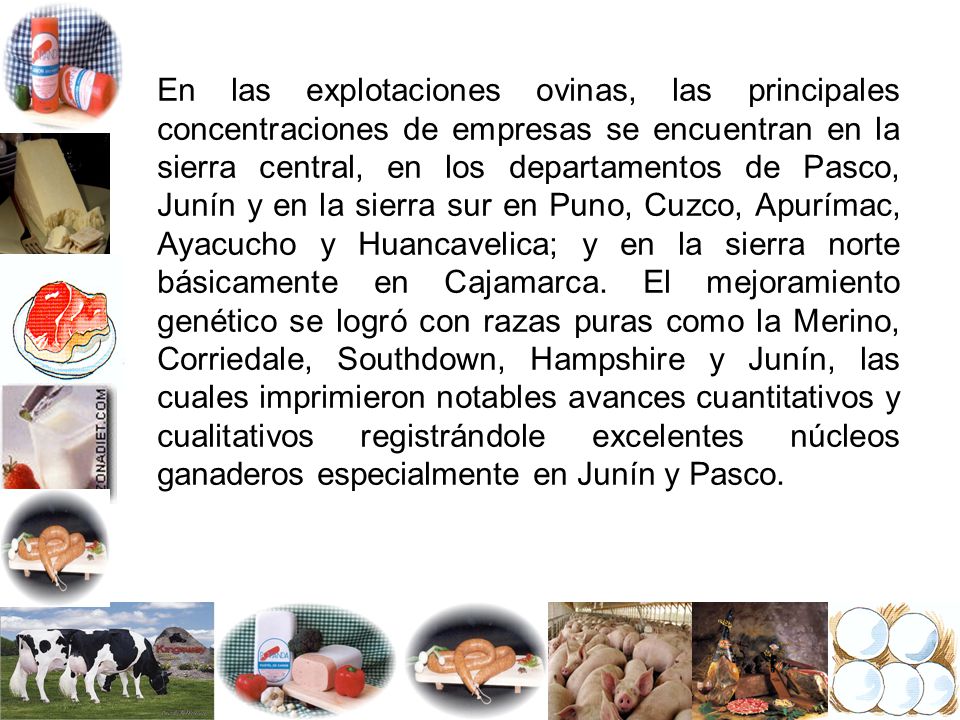 En las explotaciones ovinas, las principales concentraciones de empresas se encuentran en la sierra central, en los departamentos de Pasco, Junín y en la sierra sur en Puno, Cuzco, Apurímac, Ayacucho y Huancavelica; y en la sierra norte básicamente en Cajamarca.