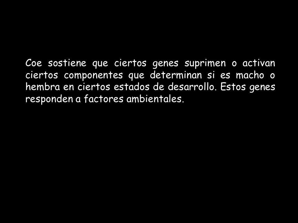 Coe sostiene que ciertos genes suprimen o activan ciertos componentes que determinan si es macho o hembra en ciertos estados de desarrollo.