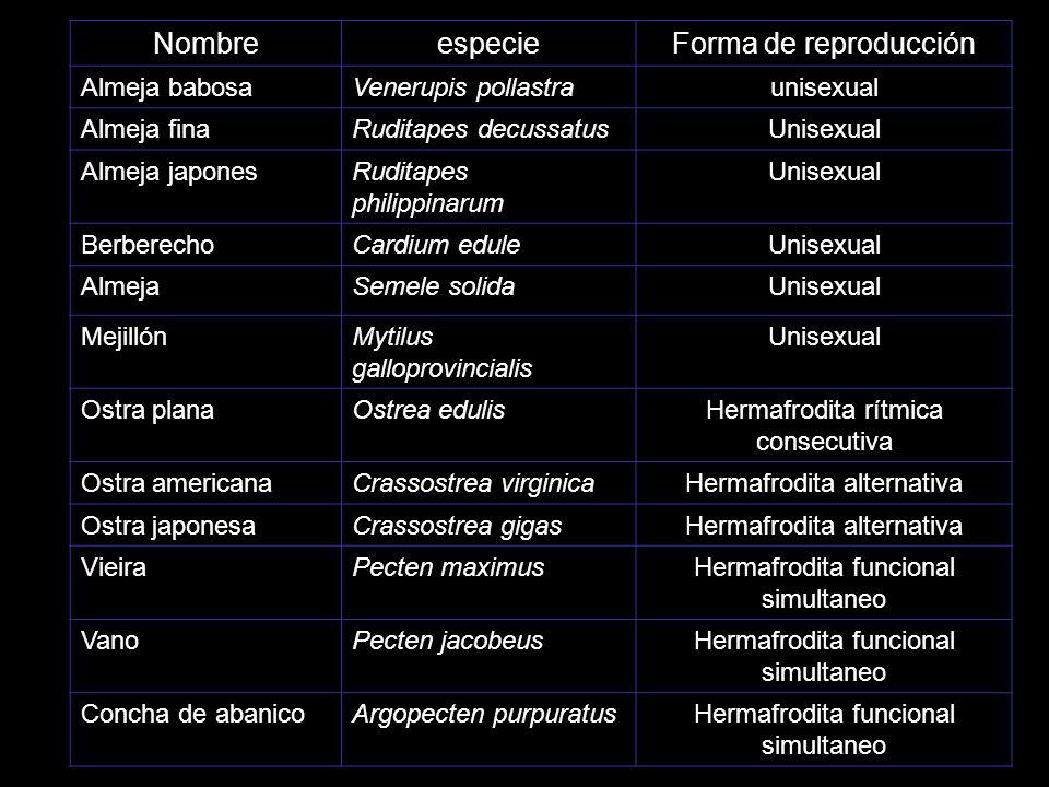 Nombre especie Forma de reproducción Almeja babosa Venerupis pollastra