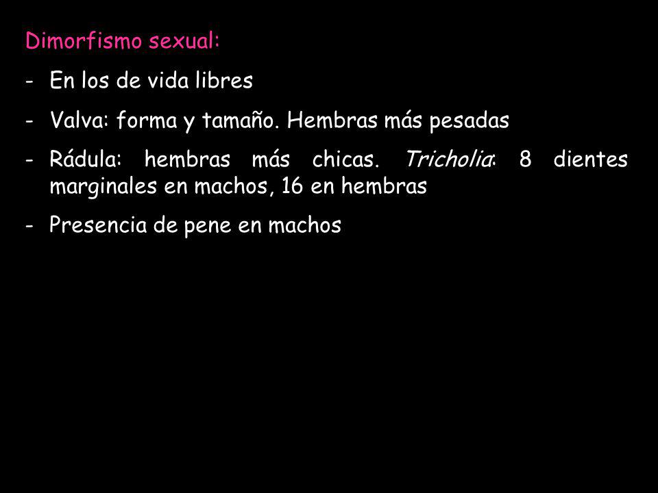 Dimorfismo sexual: En los de vida libres. Valva: forma y tamaño. Hembras más pesadas.