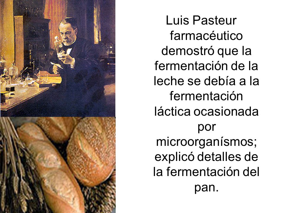 Luis Pasteur farmacéutico demostró que la fermentación de la leche se debía a la fermentación láctica ocasionada por microorganísmos; explicó detalles de la fermentación del pan.