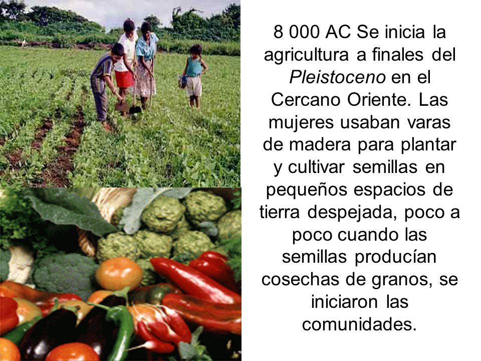 8 000 AC Se inicia la agricultura a finales del Pleistoceno en el Cercano Oriente.