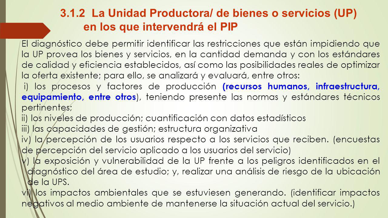 3.1.2 La Unidad Productora/ de bienes o servicios (UP) en los que intervendrá el PIP