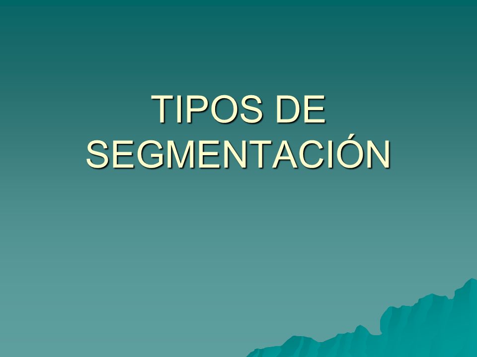 TIPOS DE SEGMENTACIÓN