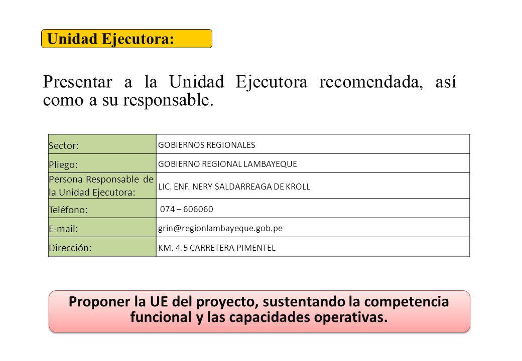 Unidad Ejecutora: Presentar a la Unidad Ejecutora recomendada, así como a su responsable. Sector: GOBIERNOS REGIONALES.