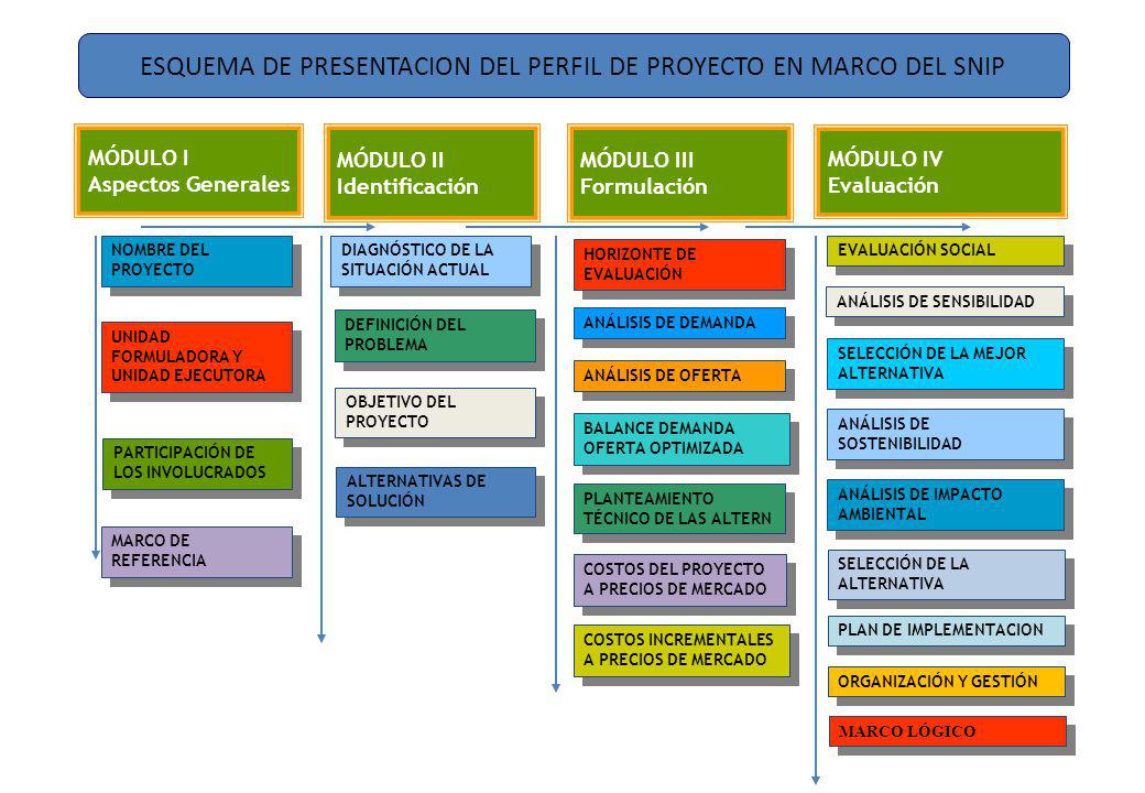 ESQUEMA DE PRESENTACION DEL PERFIL DE PROYECTO EN MARCO DEL SNIP