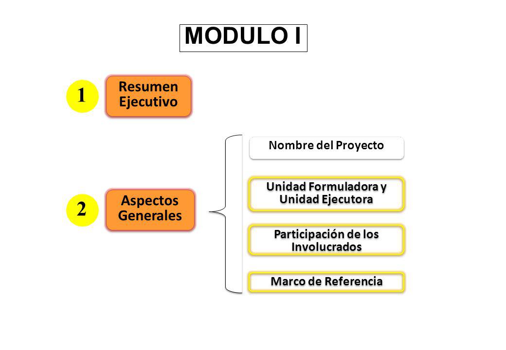 MODULO I 1 2 Resumen Ejecutivo Aspectos Generales Nombre del Proyecto