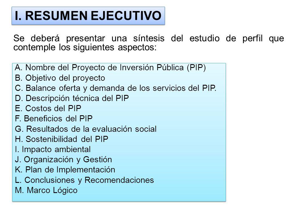 I. RESUMEN EJECUTIVO Se deberá presentar una síntesis del estudio de perfil que contemple los siguientes aspectos:
