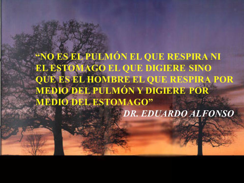 NO ES EL PULMÓN EL QUE RESPIRA NI EL ESTOMAGO EL QUE DIGIERE SINO QUE ES EL HOMBRE EL QUE RESPIRA POR MEDIO DEL PULMÓN Y DIGIERE POR MEDIO DEL ESTOMAGO