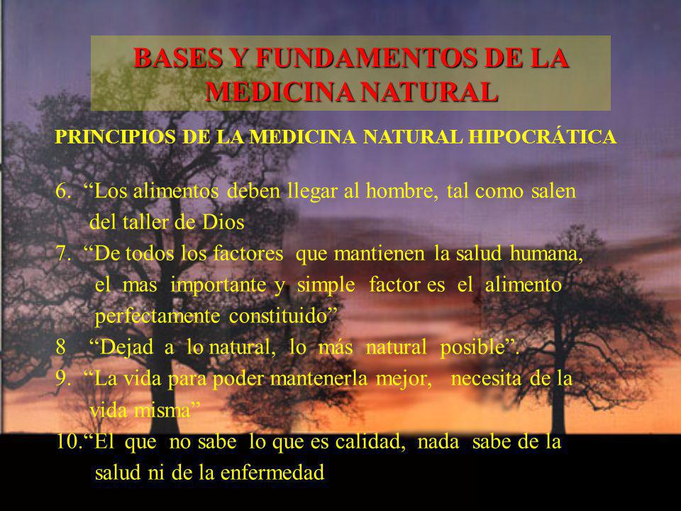 BASES Y FUNDAMENTOS DE LA