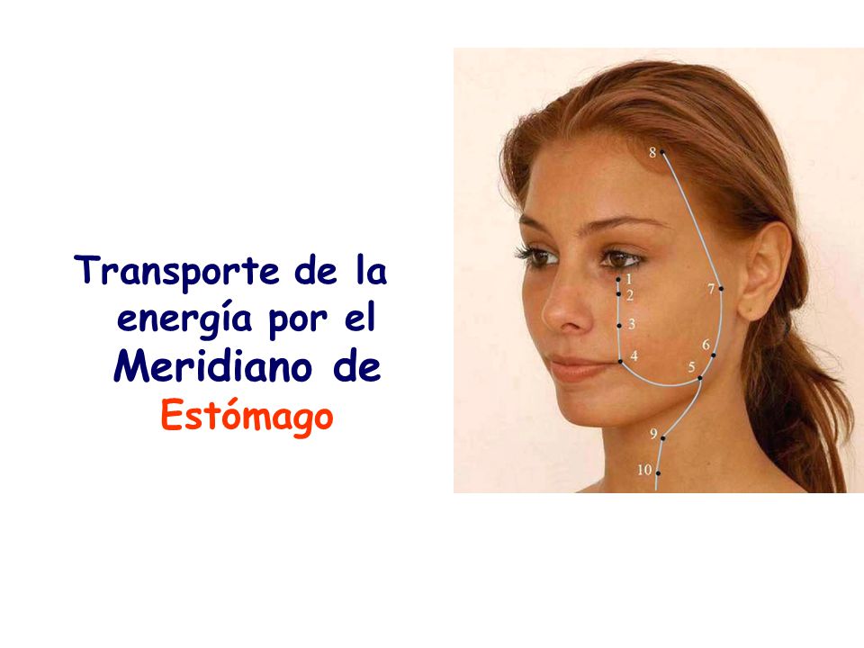 Transporte de la energía por el Meridiano de Estómago
