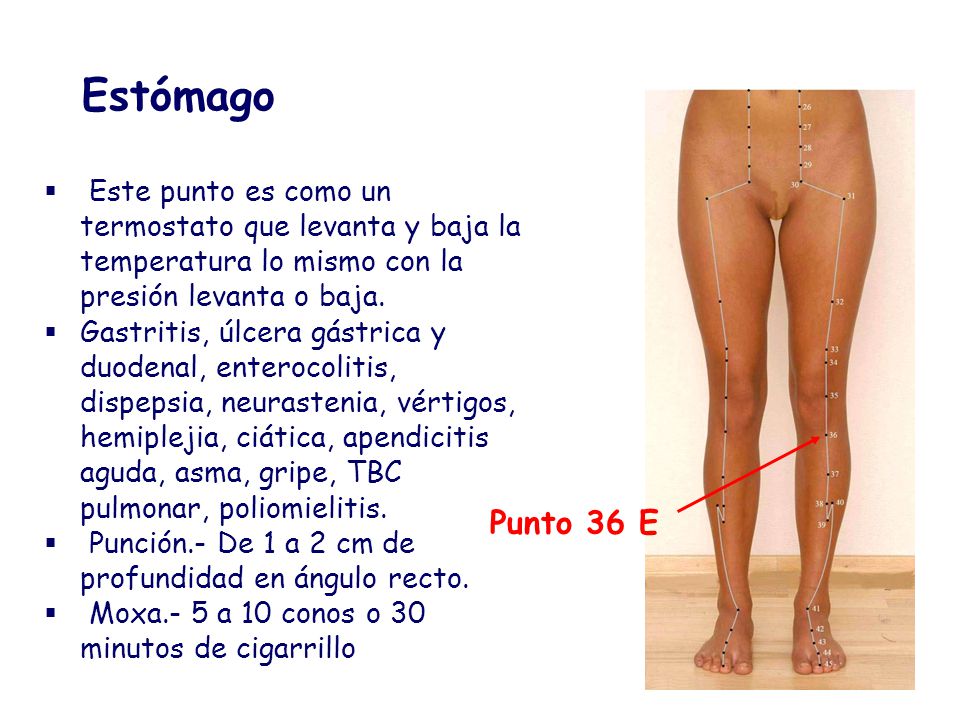 Estómago Este punto es como un termostato que levanta y baja la temperatura lo mismo con la presión levanta o baja.