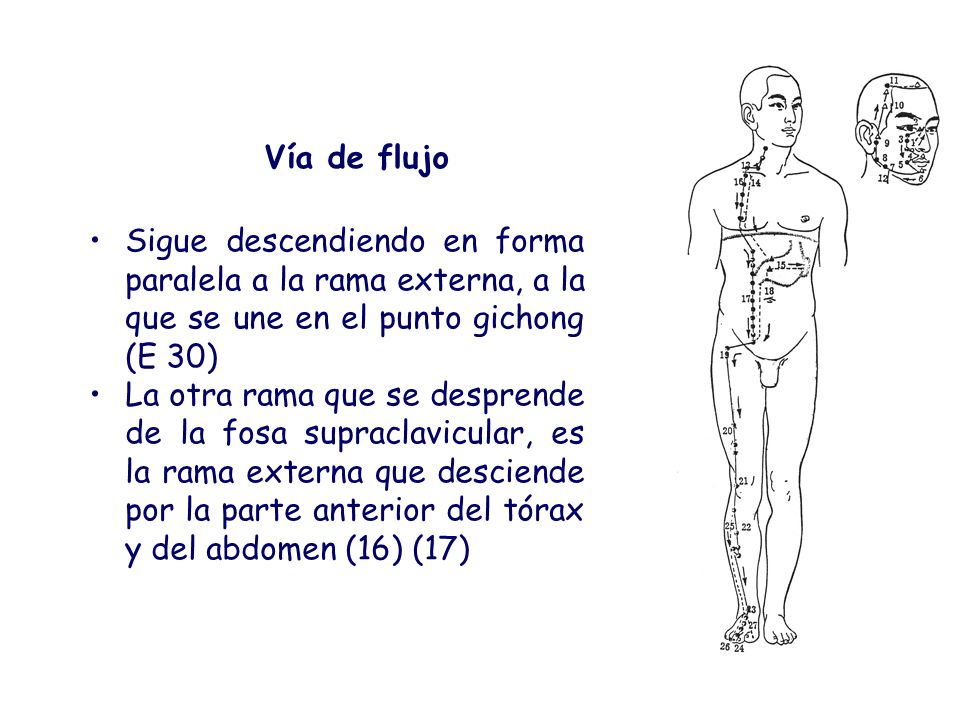 Vía de flujo Sigue descendiendo en forma paralela a la rama externa, a la que se une en el punto gichong (E 30)