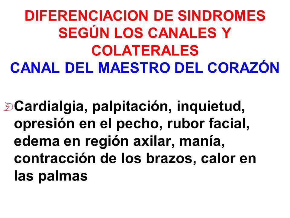 DIFERENCIACION DE SINDROMES SEGÚN LOS CANALES Y COLATERALES CANAL DEL MAESTRO DEL CORAZÓN