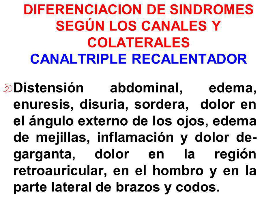 DIFERENCIACION DE SINDROMES SEGÚN LOS CANALES Y COLATERALES CANALTRIPLE RECALENTADOR