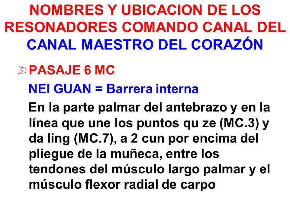NOMBRES Y UBICACION DE LOS RESONADORES COMANDO CANAL DEL CANAL MAESTRO DEL CORAZÓN