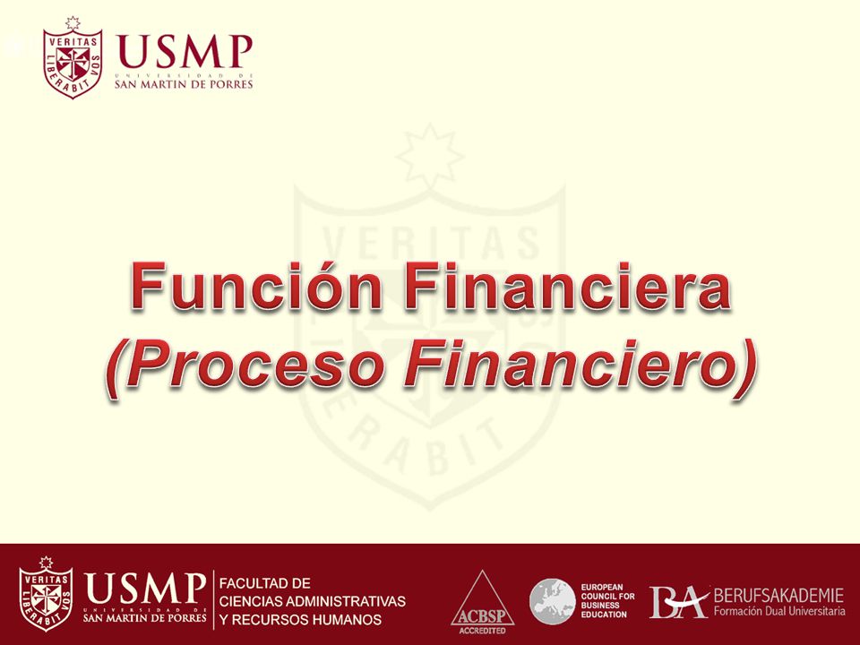 Función Financiera (Proceso Financiero)