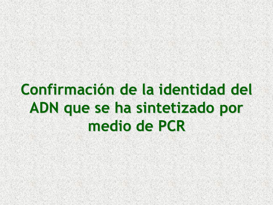 Confirmación de la identidad del ADN que se ha sintetizado por medio de PCR