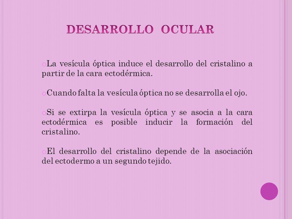Desarrollo ocular La vesícula óptica induce el desarrollo del cristalino a partir de la cara ectodérmica.