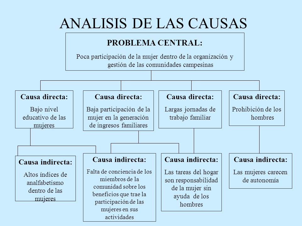 ANALISIS DE LAS CAUSAS PROBLEMA CENTRAL: Causa directa: Causa directa: