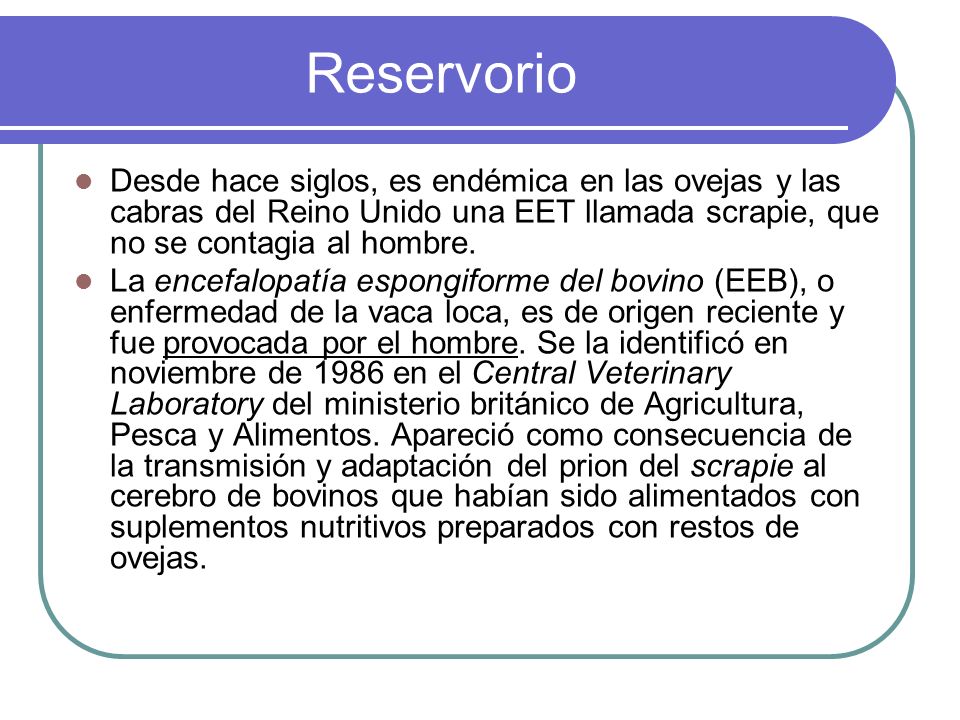 Reservorio Desde hace siglos, es endémica en las ovejas y las cabras del Reino Unido una EET llamada scrapie, que no se contagia al hombre.