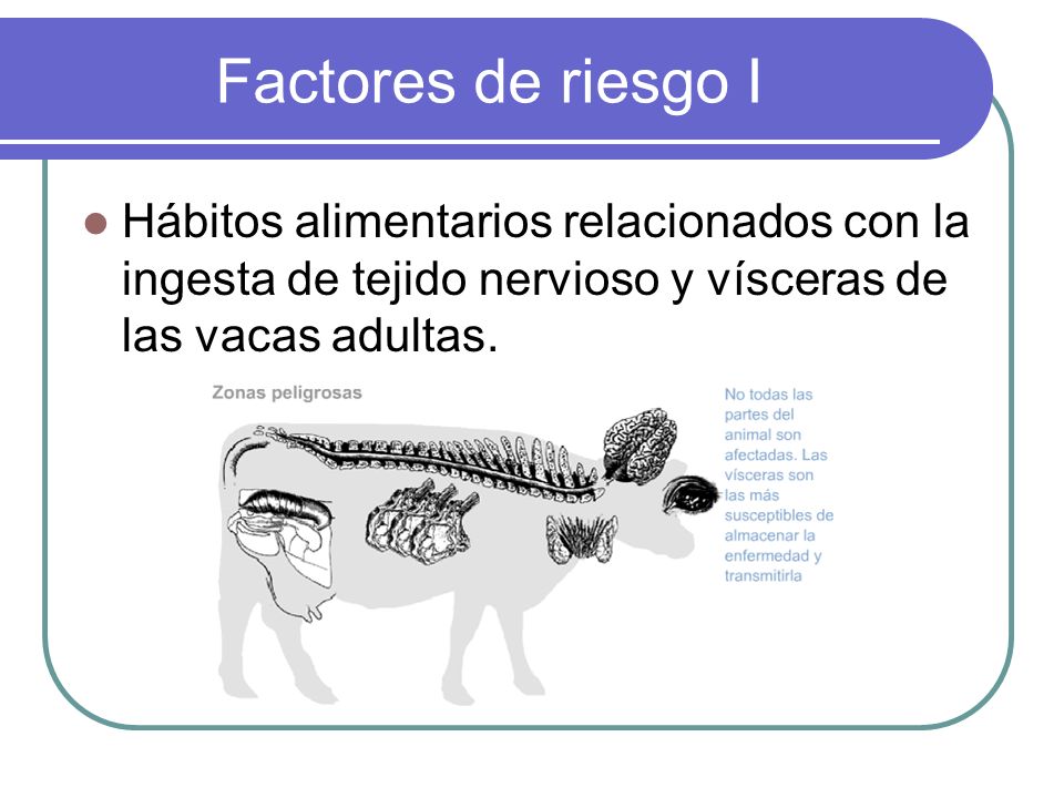 Factores de riesgo I Hábitos alimentarios relacionados con la ingesta de tejido nervioso y vísceras de las vacas adultas.