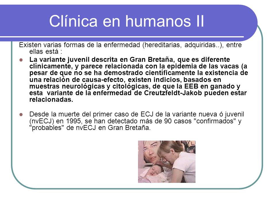 Clínica en humanos II Existen varias formas de la enfermedad (hereditarias, adquiridas..), entre ellas está :
