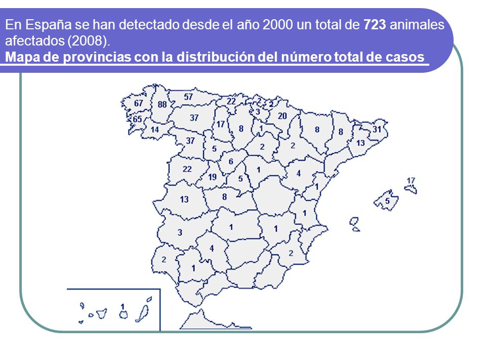En España se han detectado desde el año 2000 un total de 723 animales afectados (2008).