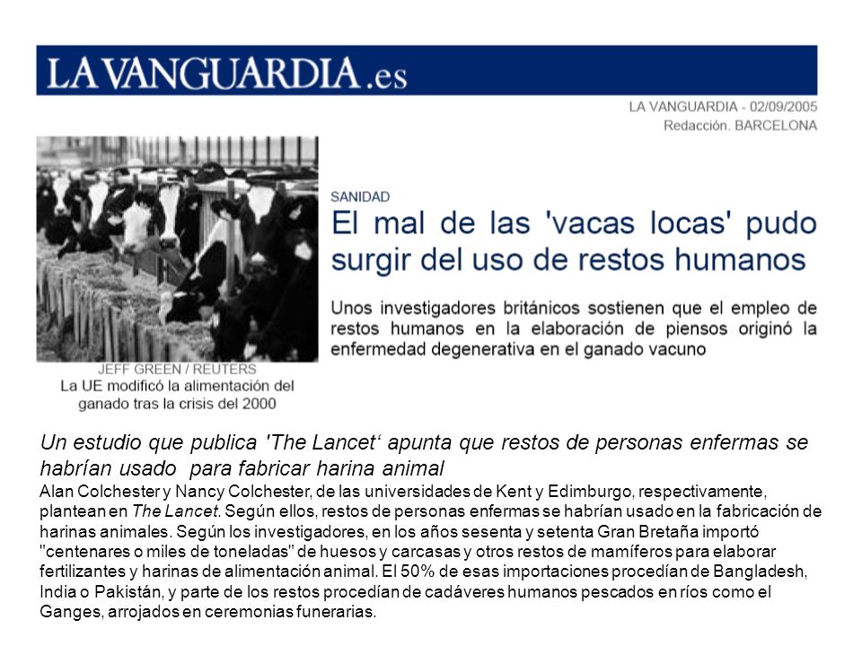 Un estudio que publica The Lancet‘ apunta que restos de personas enfermas se habrían usado para fabricar harina animal