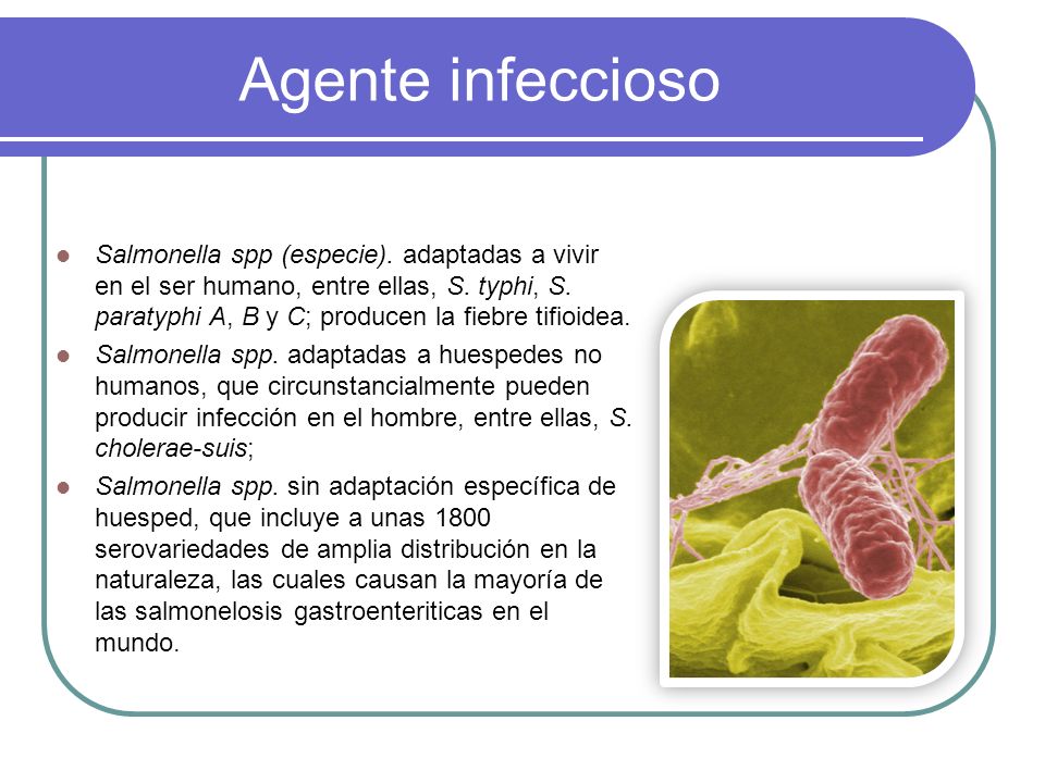 Agente infeccioso