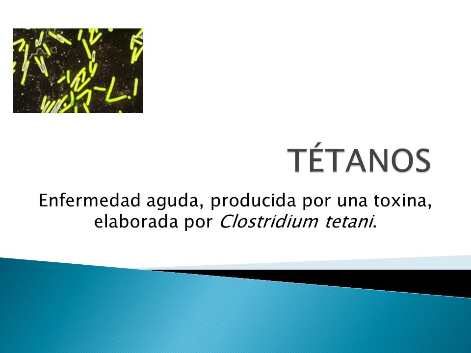 TÉTANOS Enfermedad aguda, producida por una toxina, elaborada por Clostridium tetani.