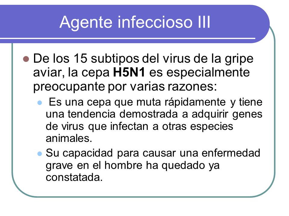 Agente infeccioso III De los 15 subtipos del virus de la gripe aviar, la cepa H5N1 es especialmente preocupante por varias razones: