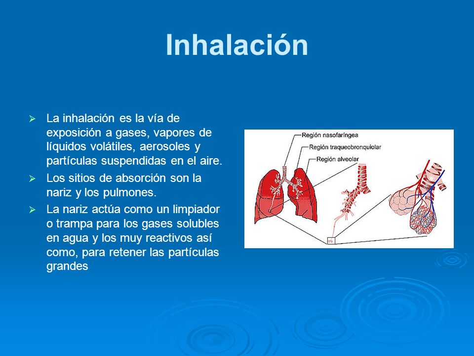 Inhalación La inhalación es la vía de exposición a gases, vapores de líquidos volátiles, aerosoles y partículas suspendidas en el aire.