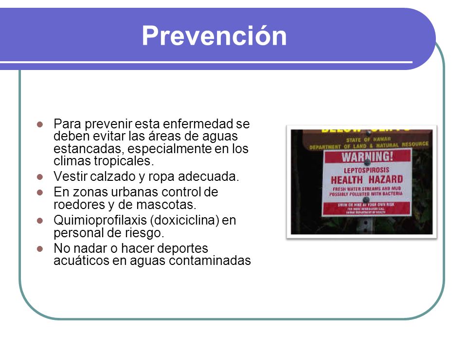 Prevención Para prevenir esta enfermedad se deben evitar las áreas de aguas estancadas, especialmente en los climas tropicales.