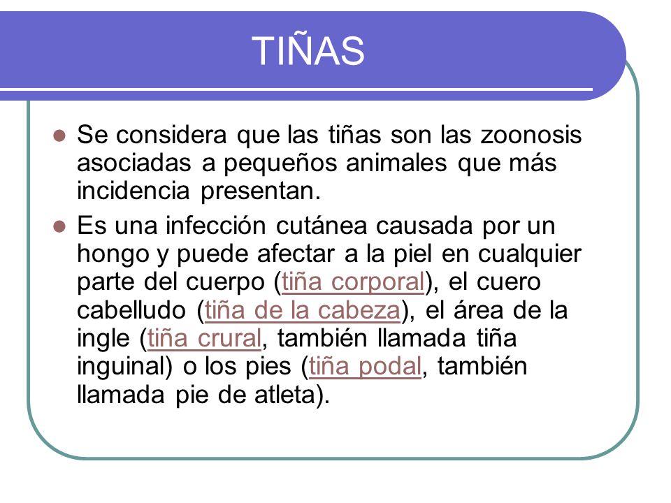 TIÑAS Se considera que las tiñas son las zoonosis asociadas a pequeños animales que más incidencia presentan.
